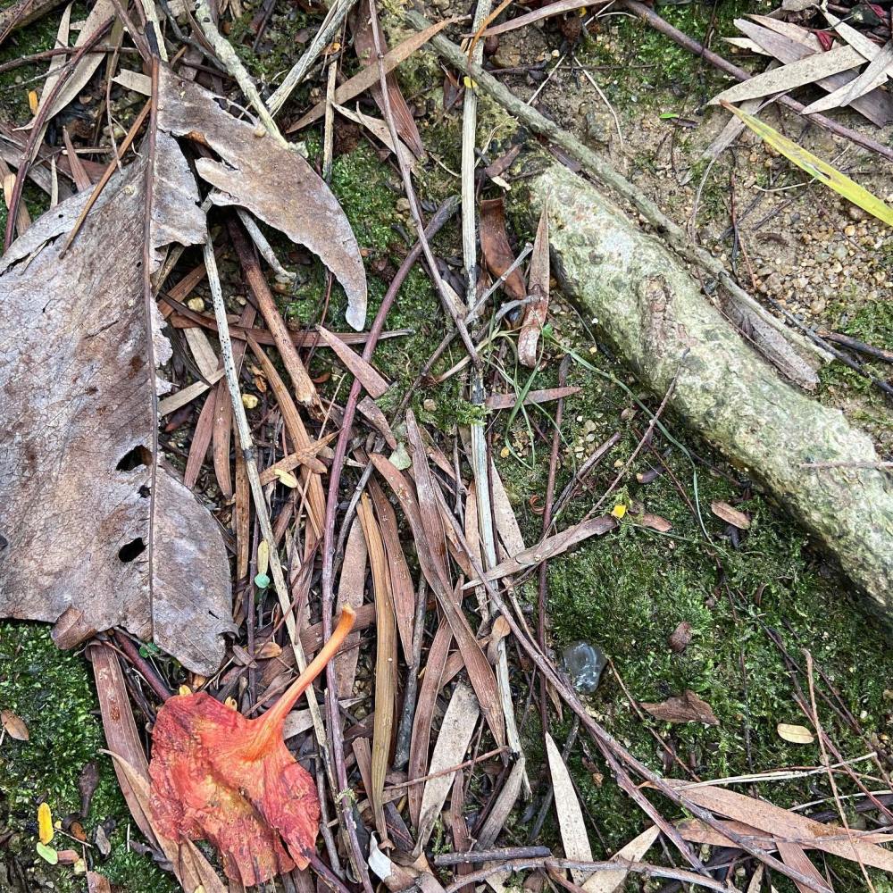 Methods of Crystals Purification