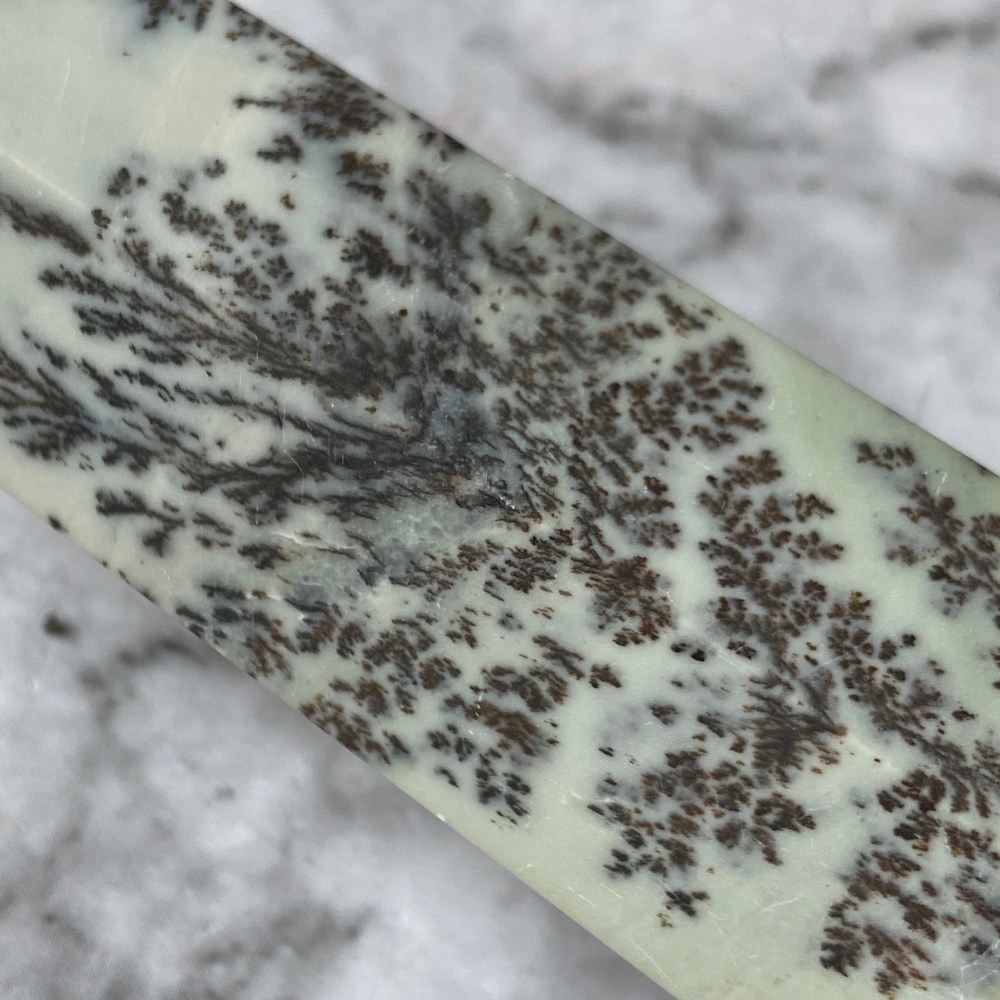 Dendritic Agate / Tree Agate